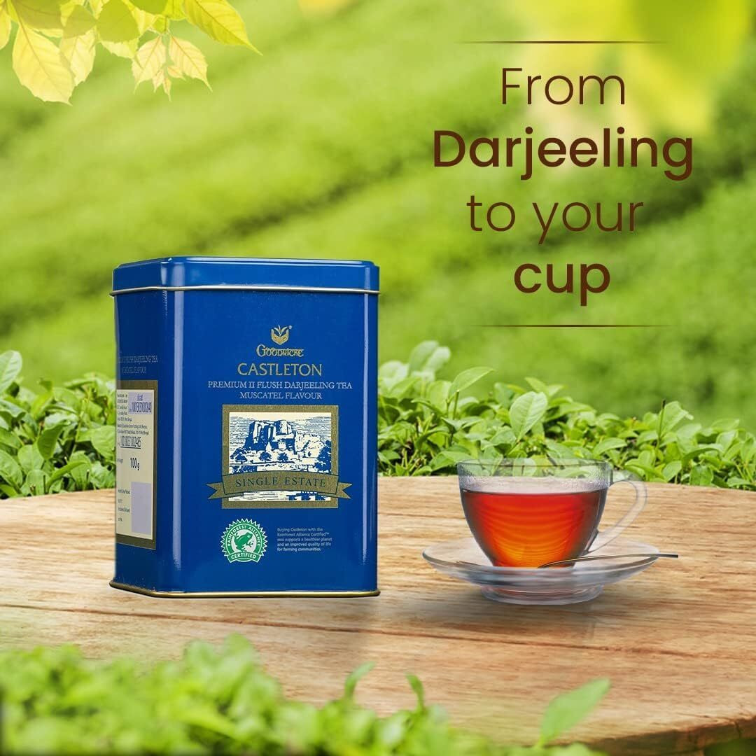 Goodricke Castleton Muscatel Darjeeling Tea - 100Gm (Pack Of 2) | Single Estate Whole Leaf Tea | 100% Pure & Original Loose Leaves Chai | Premium Flavoured Black Tea With Long Lasting Taste
