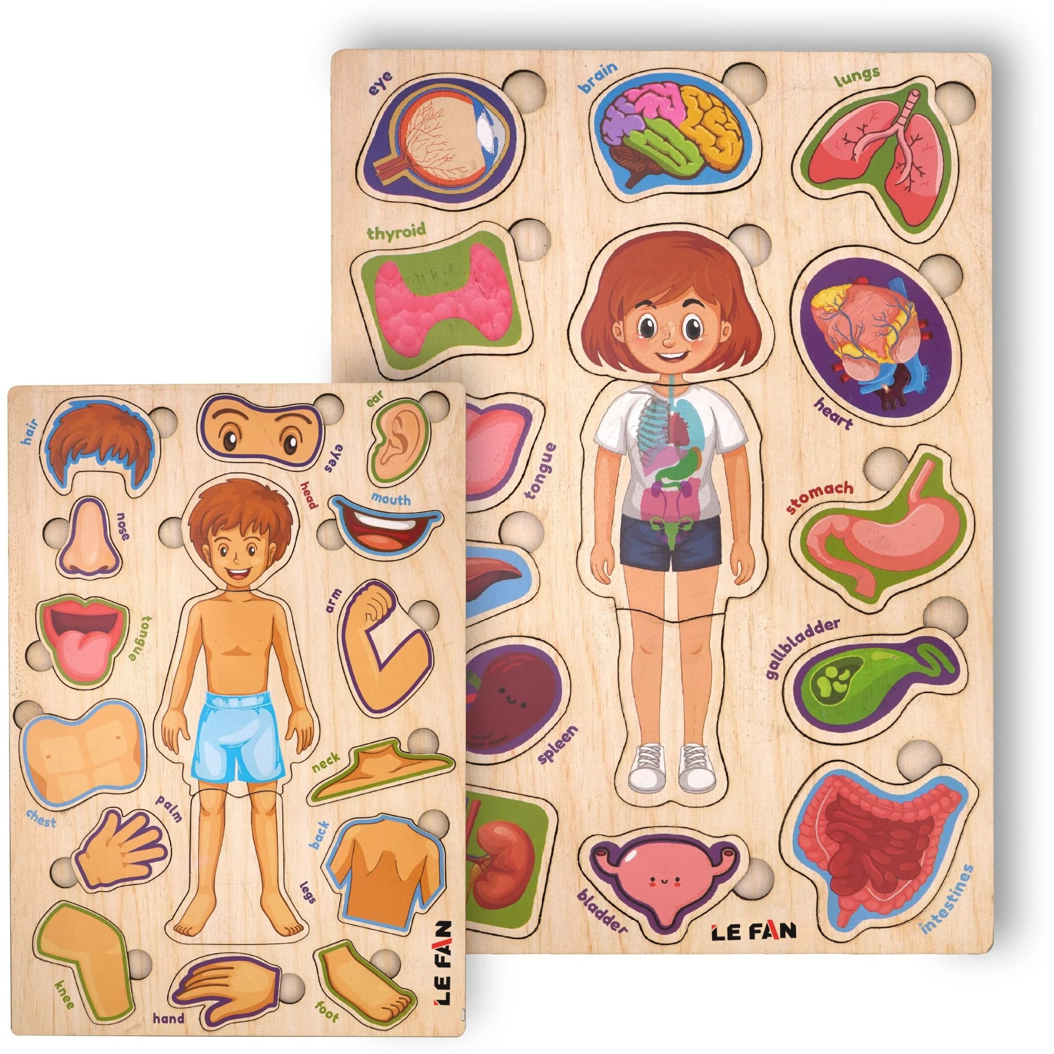 Lefan Body Part Wooden Puzzle Kids Games Toys For Kids 3+ Jigsaw Puzzles For Adults Baby Learning Toys Educational Toys For 2 Board Game