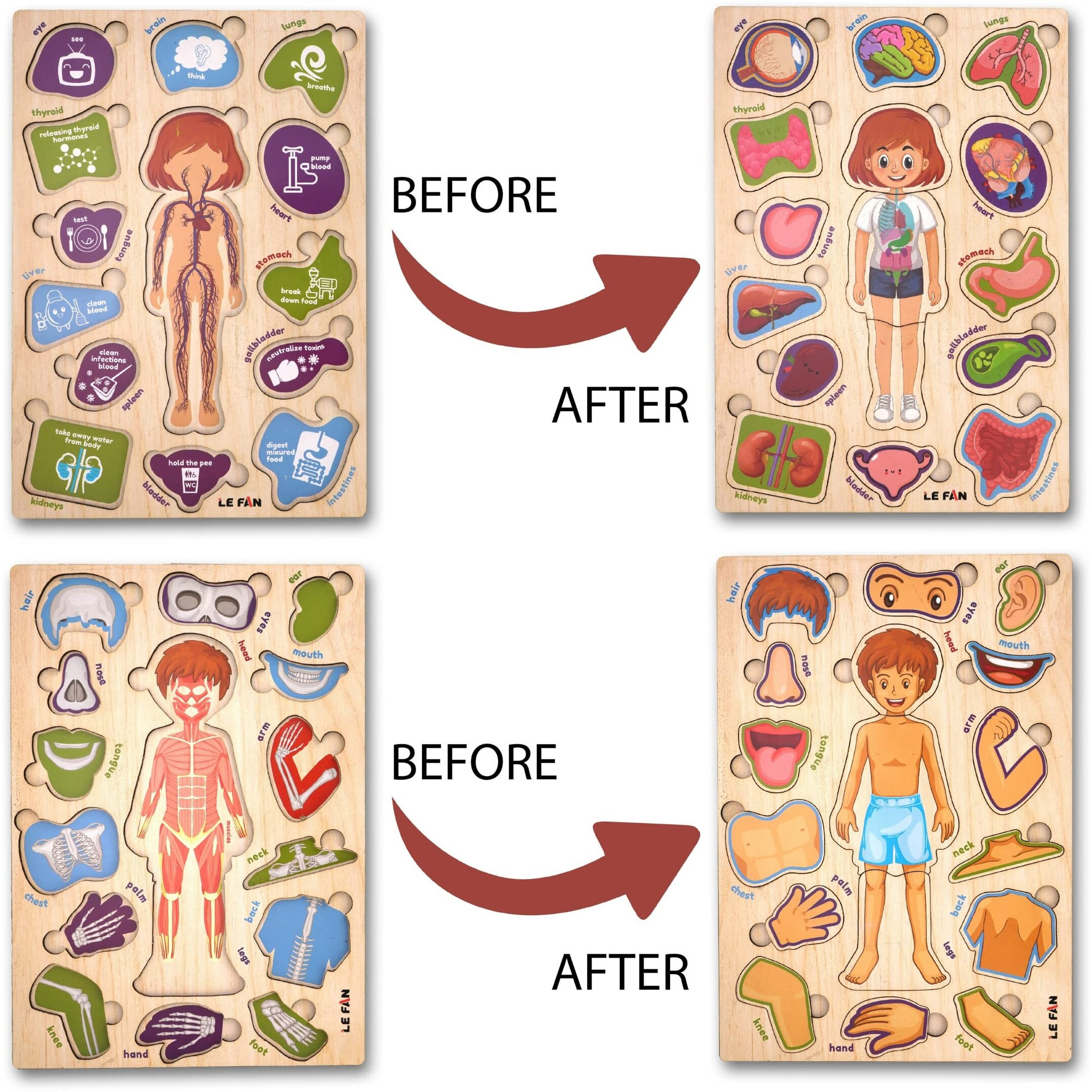 Lefan Body Part Wooden Puzzle Kids Games Toys For Kids 3+ Jigsaw Puzzles For Adults Baby Learning Toys Educational Toys For 2 Board Game