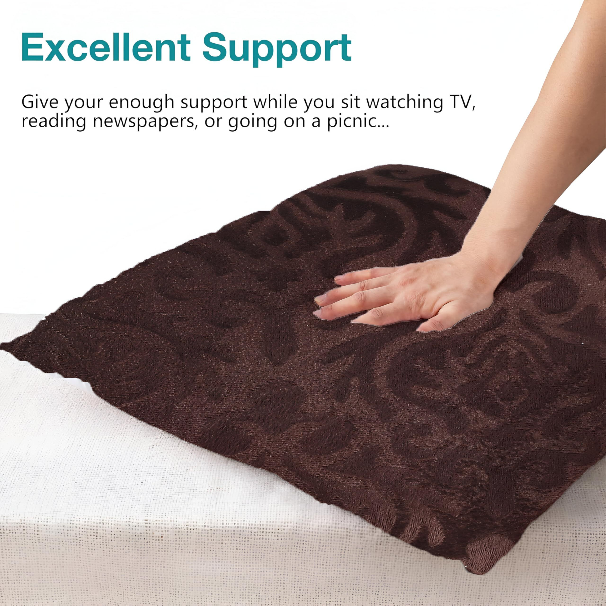 Ivaza Microfiber Square Pillow Cushion For Sofa & Bed | Soft, Fluffy For Comfort & Back Support | Breathable, Washable | Premium Velvet Outer Cover With Zip Set Of 2 (12" X 12") Coffee