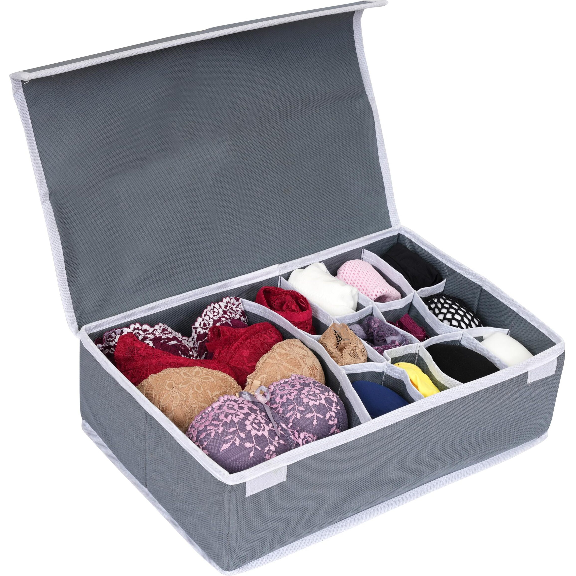 Anytime Undergarment Organizer | Storage Dividers For Storing Socks, Bras, Ties, And Scarves | Household Use Wardrobe Storage Box | Pack Of 1