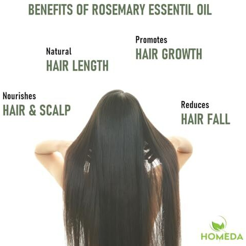 Homeda Rosemary Essential Oil For Hair Growth (15 Ml) Pure Rosemerry Oil, Skin And Body, Rosemarry Essential, Rose Mary