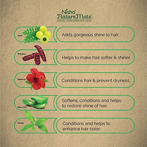 Nisha Nature Mate Henna Based Hair Color Powder Without Ammonia Natural Hair Colour For Women & Men 10Gm Pack Of 10 (Original Black)