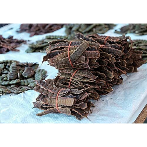 The Forest Herbs Natural Care From Nature Organic Whole Dried Amla, Reetha, Shikakai Raw Form For Hair Care Combo Each 200Gms