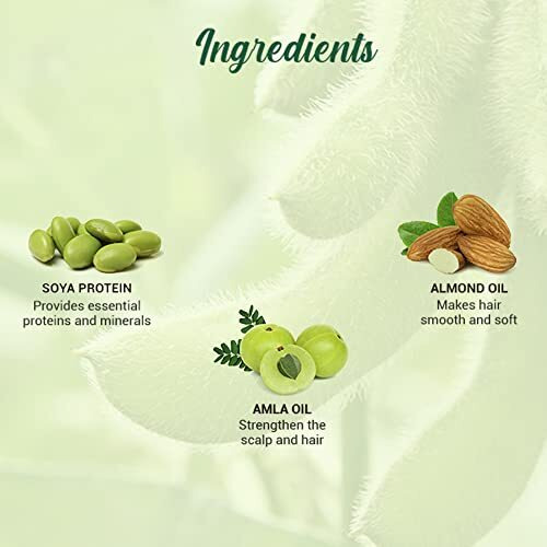 Biotique Bio Soya Protein Fresh Nourishing Shampoo & Conditioner | Repairs Dry And Damaged Hair |Maintains Ph Balance |Promotes Healthy Shiny Hair| Prevents Color Fading | All Skin Types | 190Ml