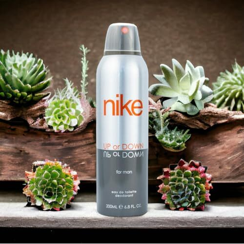 Nike Up Or Down Silver Deodorant For Men, 200Ml
