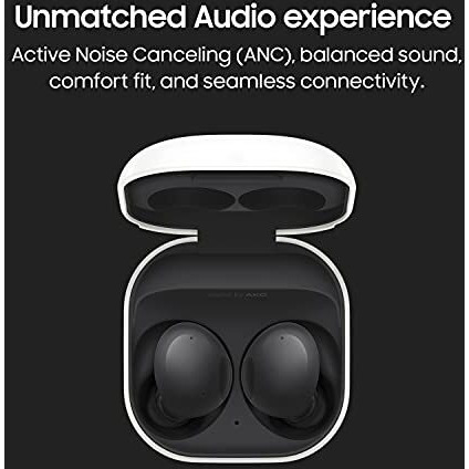 Samsung Galaxy Buds 2, Graphite