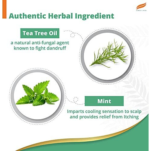 Himalaya Anti-Dandruff Cooling Mint Shampoo | Fights Dandruff | Soothes Scalp & Revives Hair | Enriched With Tea Tree Oil & Mint | For Women & Men | 200Ml