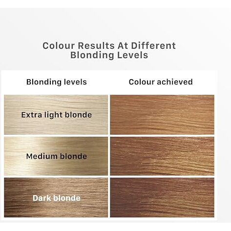 Streax Hair Colour Highlight Kit | Blonde, Soft Blonde - Pack Of 1 | Enriched With Walnut & Argan Oil | For Women | Rich, Vibrant, Easy To Use, Diy Application