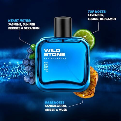 Wild Stone Hydra Energy Edp Premium Perfume For Men, 100 Ml | Long-Lasting Eau De Parfum | Refreshing Fragrances For Modern Man | Active Lifestyle | Gift For Men.