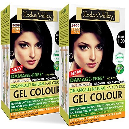 Indus Valley Damage Free Natural Gel Hair Colour Women | Ammonia & Ppd Free Organic Hair Colour With 100% Grey Coverage, Long Lasting Conditioning Hair Color | Black 1.00 - Pack Of 2 (2X220  400 Ml)