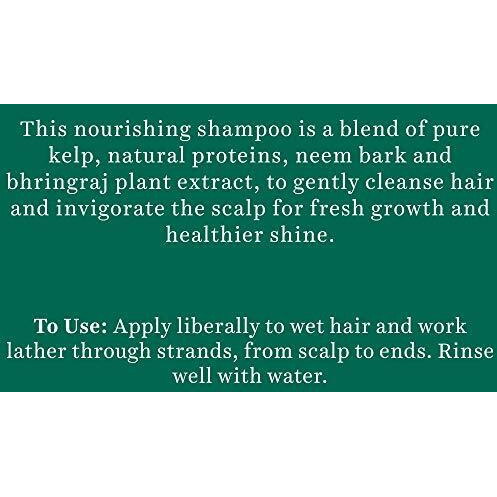 Biotique Ocean Kelp Anti Hairfall Shampoo | Intensive Hair Growth Therapy| Anti Hairfall Shampoo That Maintains Shine |100% Botanical Extracts | Suitable For All Hair Types |650Ml