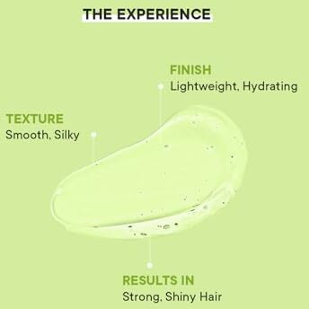 Quench Botanics Anti Dandruff Shampoo With Tea Tree Extracts, Minimizes Dandruff Flakes, Soothes Itchy & Dry Scalp, Makes Hair Soft, Smooth & Silky, Made In Korea (250 Ml)
