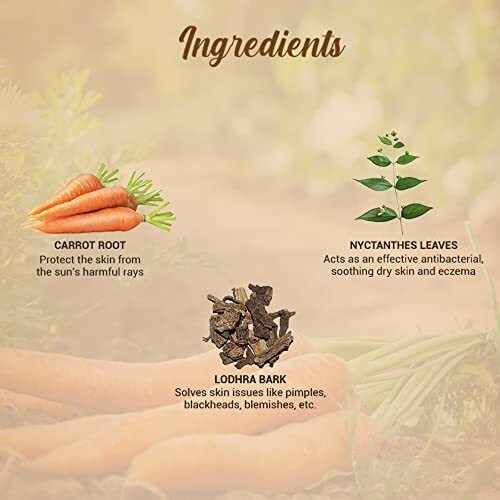 Biotique Bio Carrot Face & Body Sun Lotion | Spf 40 Uva/Uvb Sunscreen | Prevents Ageing And Soothes Dry Skin| 100% Botanical Extracts | Suitable For All Skin Types | 50Ml