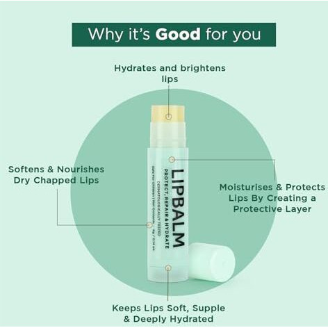 Bella Vita Organic Natural Lipbalm For Dry Damaged & Chapped Lips Enriched With Shea Butter, Avocado 4 Gm