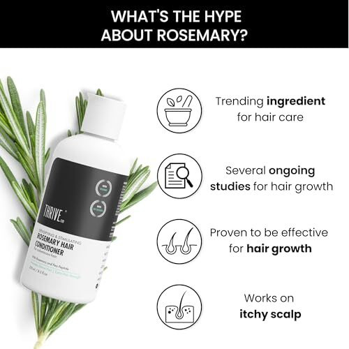 Thriveco Rosemary Hair Conditioner For Voluminous Hair | Densifying & Stimulating Hair Growth | Promotes Hair Strength | With Pea Peptide & Caffeine | Paraben & Sulfate Free | For Men & Women | 250Ml