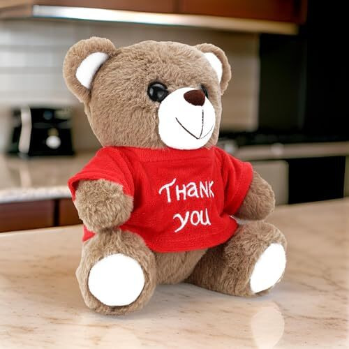 Webby Plush Thank You Teddy Bear Soft Toys | Return Gift And Decoration Item | Adorable And Huggable Stuffed Teddy Bear With Printed T-Shirt For Kids And Adults