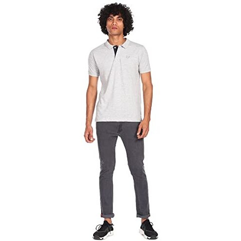 Arrow Men's Classic Solid Half Sleeve Regular Fit Cotton Polo T-Shirt (Ascbts3539_Light Grey_L)