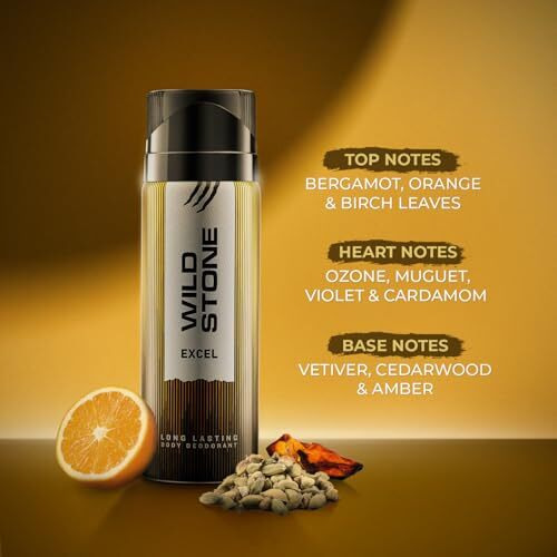 Wild Stone Excel Deodorant For Men, 200Ml | Best Deo For Office | A Long-Lasting Body Spray For Men | Excel Body Spray With Woody Fragrance