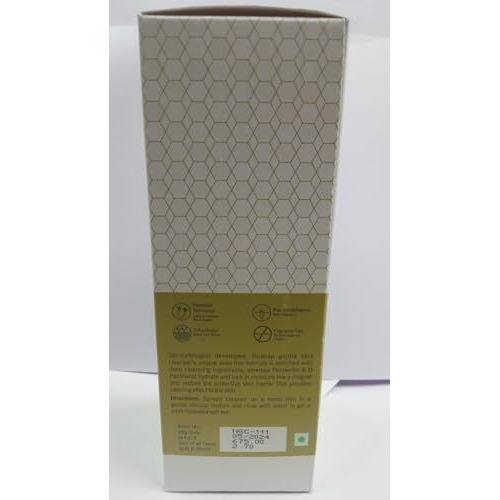Nosoap Gentle Skin Cleanser Ph5.5, 250 Ml