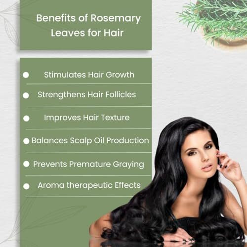 Vriksha Veda Pahadi Rosemary Leaves For Hair Growth I 100% Natural Shade Driedi 50 Gms