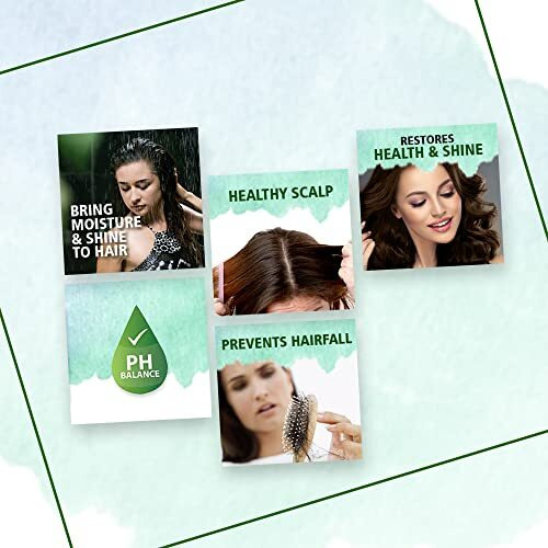 Sunny Herbals New & Improved Ph Balanced Arnica Shampoo For Soft, Lustrous & Healthy Hair | Cantharis Gives A Cool & Healthy Scalp | Brings Back Moisture & Shine With Fragrant Hair, 250 Ml (Pack Of 2)