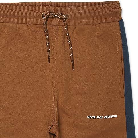 Alan Jones Clothing Boys Colorblock Joggers Track Pant (Tan_15-16 Years)