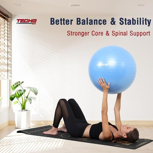 Techofit 65Cm Sitting Yoga Ball Chair For Office, Yoga, Workout, Pregnancy, Maternity Labour, Anti-Burst Swiss Balance Ball (Blue, 65 Cm)
