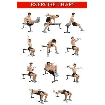 Bodyfit Fitness Multi Adjustable Weight Bench For Home Gym | Full Body Workout | Foam Soft Padding | Heavy Solid Steel | Leg Dual Flat Bench Press