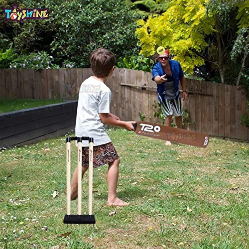 Toyshine Speed Up T-20 Combo Box Cricket Kit For Kids (Bat Size 4, 5-10 Yrs) Outdoor Sports Toy Gift For Boys Girls Picnic Fun - Sstp (Brown)