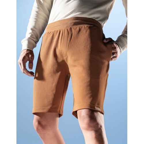 Damensch Men 500 Day Shorts - Oath Brown - Large
