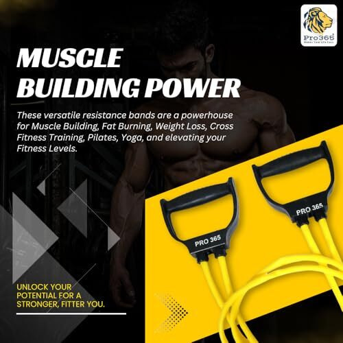 Pro365 Double Spring Tummy Trimmer With Yellow Resistance Toning Tube For Home Workout