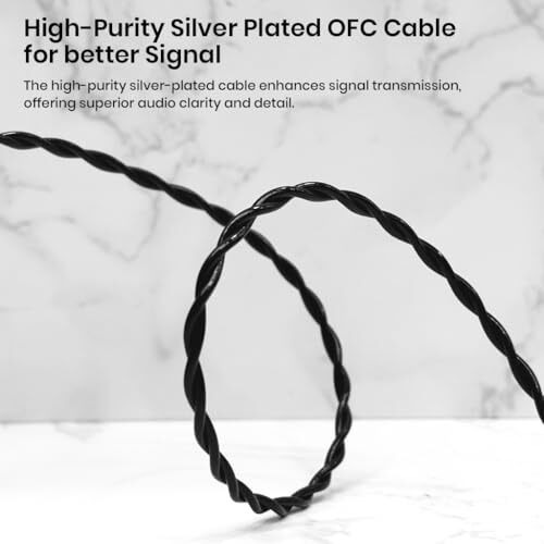 Audiocular C05 Type-C Iem Upgrade Cable With Cx31988 Dac, 2-Pin 0.78Mm Connector, Silver-Plated, Hd Microphone, Compatible With Type-C Phones & Earphones