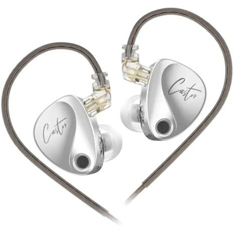 Kz Castor Wired Iem In-Ear Headphones With Mic |Dual Dynamic Driver In Ear Monitor, 4 Tuning Switches Iem,2Pin Detachable Cable (Harman Target With Mic)
