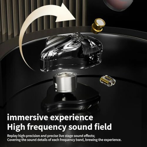 Nd Audio Zr Wired Iem Earphone - 10Mm Dynamic Driver In Ear Monitor Powerful Bass, Live-Stage Sound Effects, Hd Microphone, Noise Isolation, 2Pin 0.75Mm Connector, Silver Plated Detachable Cable