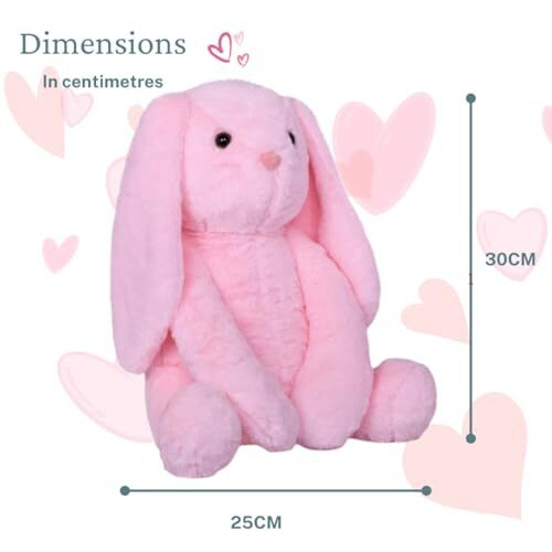 Audbot Bunny Soft Toy -1 Feet With Pink Color & Back Side Zip For Hide Small Gifts For Loved Once | Animal Stuffed Toy | Plushie Rabbit Toy For Best Gift | Toys For Kids