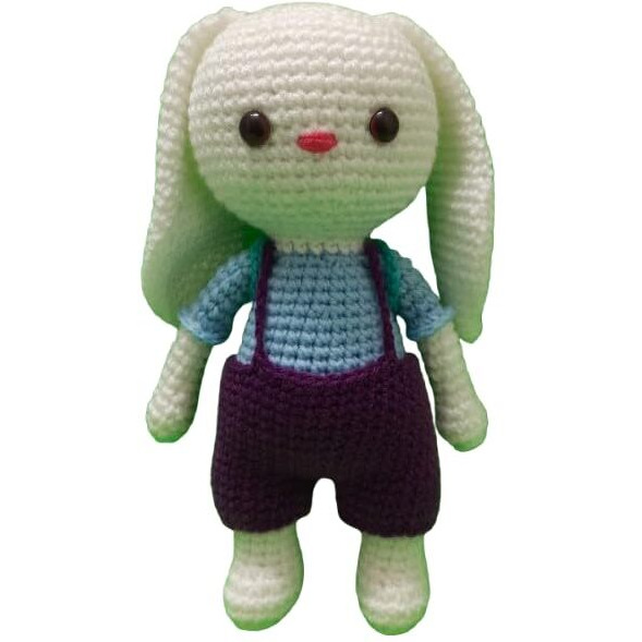 Crochet Artwork Amigurumi Handmade Bunny Soft Toy (Boy Bunny)