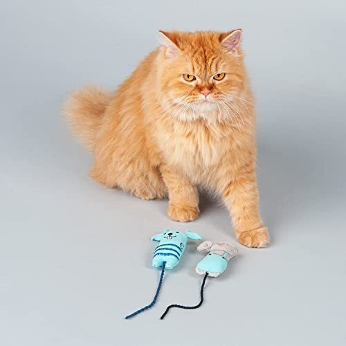 Heads Up For Tails Mim And Mo Cat Toys - Blue