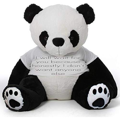Hug 'N' Feel Soft Toys Big Teddy Panda Wearing I Will Wait For You Because Honestly I Don'T Want Anyone Else T-Shirt 4 Feet Panda_T Shirt_I Will Wait For You Plush & Stuffed Toys