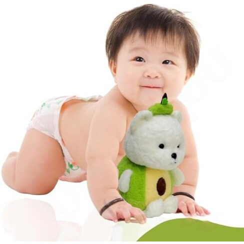 Avocado Soft Toys (Classic Edition)