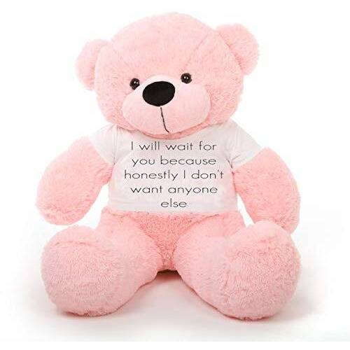 Hug 'N' Feel Soft Toys Big Teddy Bear Wearing I Will Wait For You Because Honestly I Don'T Want Anyone Else T-Shirt 3 Feet Pink_T Shirt_I Will Wait For You Plush & Stuffed Toys