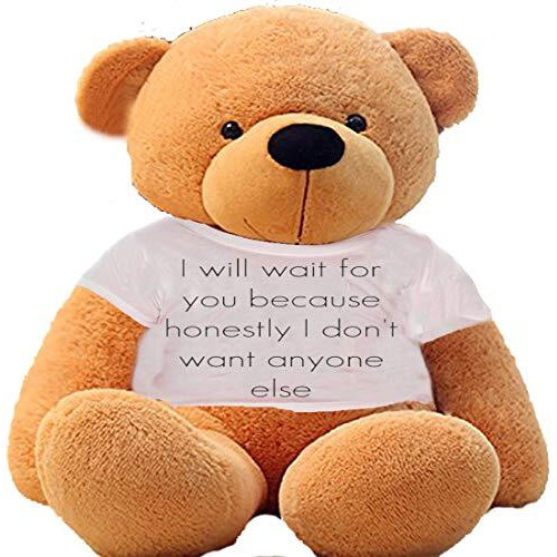 Hug 'N' Feel Soft Toys Big Teddy Bear Wearing I Will Wait For You Because Honestly I Don'T Want Anyone Else T-Shirt 3 Feet Brown_T Shirt_I Will Wait For You Plush & Stuffed Toys