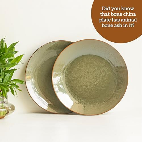 Claymistry Ceramic Dinner & Snacks Olive Green With Reddish Brown Edge Plate, | 26Cm * 26Cm * 3Cm | Glossy Finish | Dishwasher, Oven & Microwave Safe | Dinnerware Serving Thali | Premium Crockery