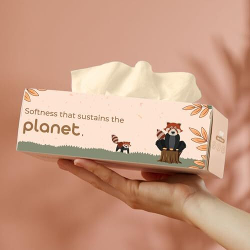 Imeco Soft Bamboo Facial Tissue Paper Wipes | 200 Pulls X 1 Box, 200 Sheets, 2 Ply | Soft & Highly Absorbent Tissues | 100% Natural & Ecofriendly | Perfect For Home, Office & Car