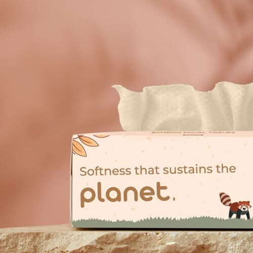 Imeco Soft Bamboo Facial Tissue Paper Wipes | 200 Pulls X 1 Box, 200 Sheets, 2 Ply | Soft & Highly Absorbent Tissues | 100% Natural & Ecofriendly | Perfect For Home, Office & Car