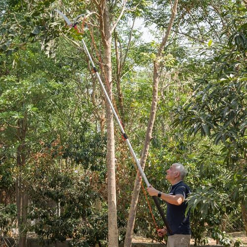 Sharpex 11 Ft Manual Pole Long Cutter For Tree Trimming | 3 Stage Extension Telescopic Pruning Saw (5 Feet To 11 Feet) |14 Inches Sharp Blade For Tree Trimmer Pole, Yard Garden And Patios