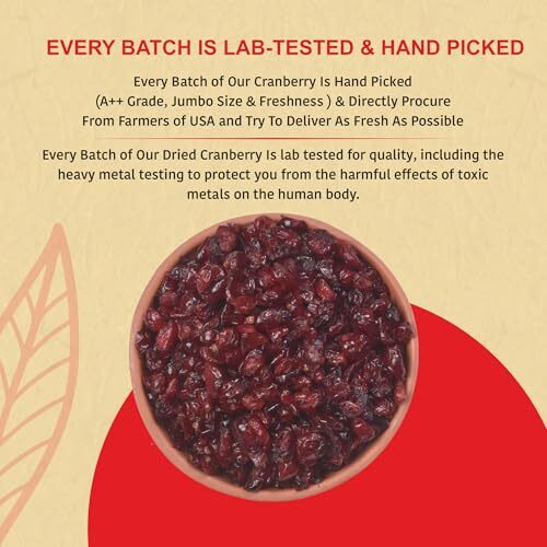 Nutty Organics Cranberry 500 Gm | Dry Fruit & Berries | High In Nutrients & Antioxidants | Healthy & Nutritious Snack | Perfect For Salads & Baking