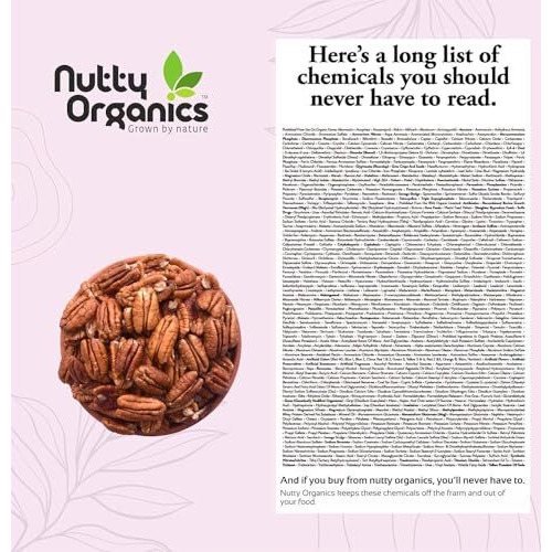 Nutty Organics Premium & Healthy Dried Pecan Nuts - 250G | Preservatives & Additives Free | Nuts Dry Fruits | Rich In Protein & Fiber