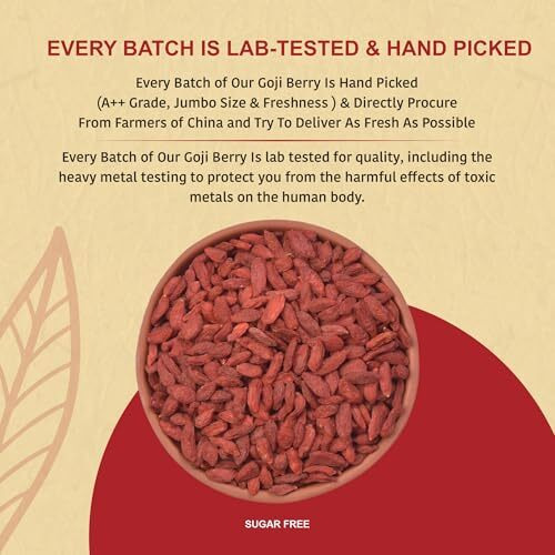 Nutty Organics Dried Goji Berries 400 Gm | High In Vitamin A & Rich In Antioxidants | Immunity Booster Goji Berry Toppings For Fruit Salads & More