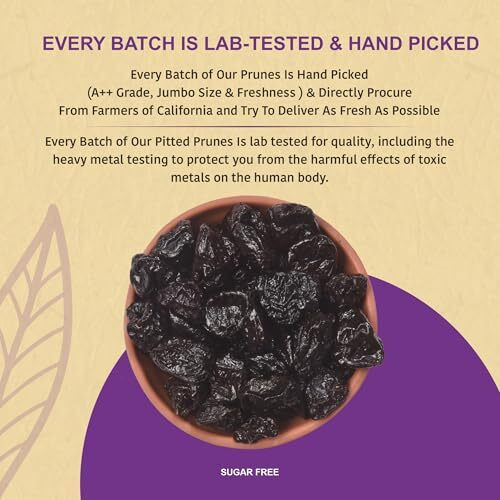 Nutty Organics Pitted Prunes Berries | Dried Fruit Plums | Antioxidant Rich Pitted Prunes | 500 Gm | High In Vitamins & Fiber